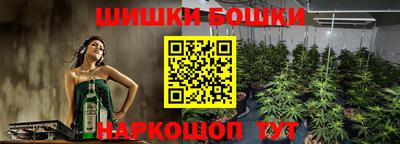 крисы Коммунар