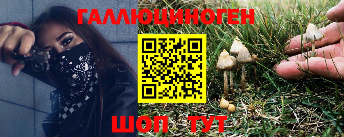 Галлюциногенные грибы Cubensis  Вход с VPN  купить закладку  Ковров 