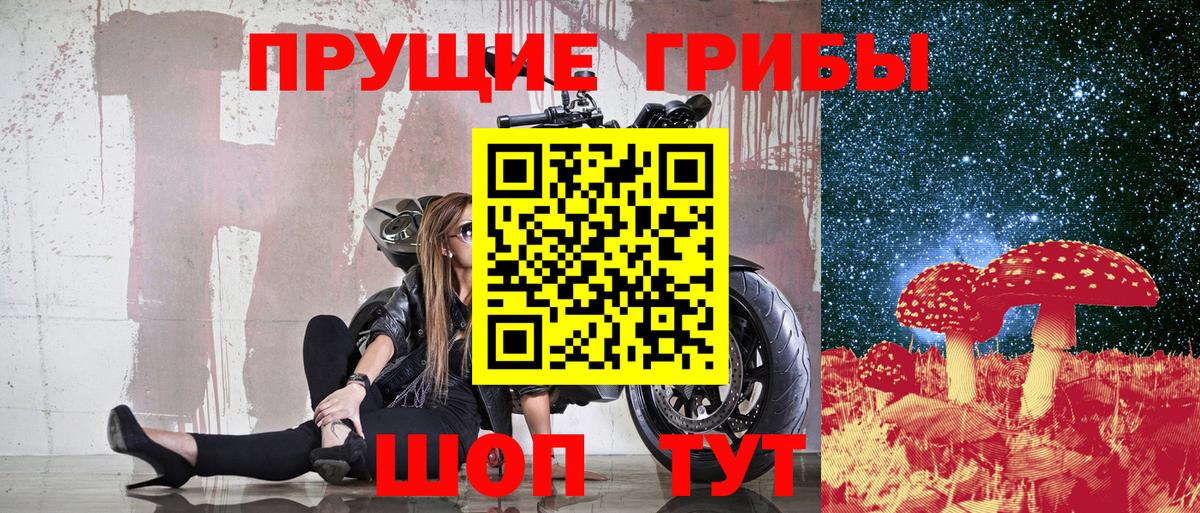 Галлюциногенные грибы мицелий Ковров