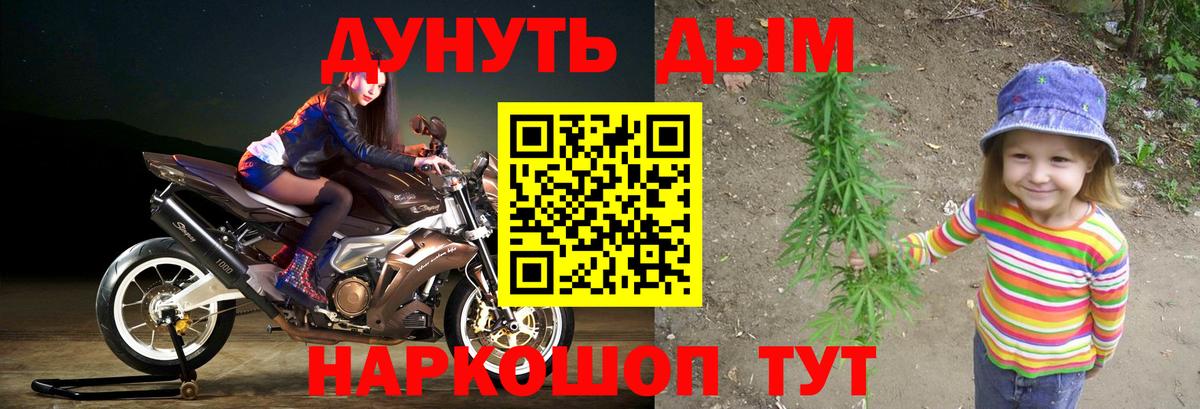 Шишки марихуана гибрид Ковров